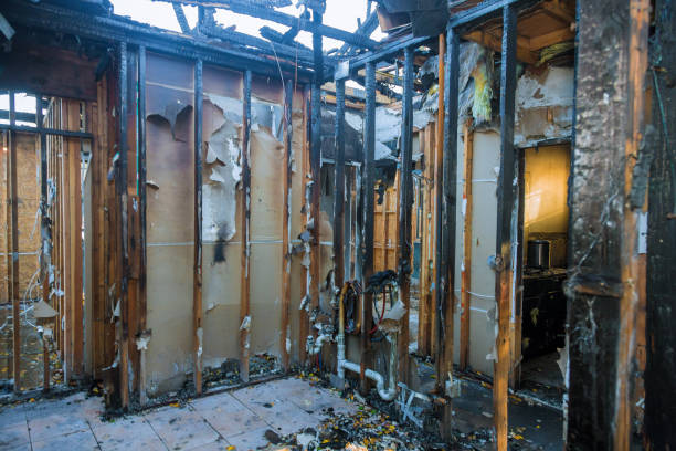 Professional Fire Damage Removal technician working in Mount Olive, AL